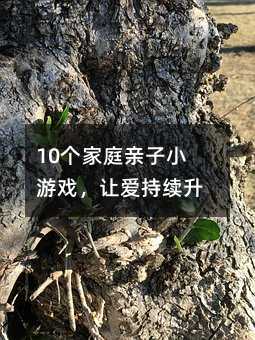 10個(gè)家庭親子小游戲,讓愛持續(xù)升溫