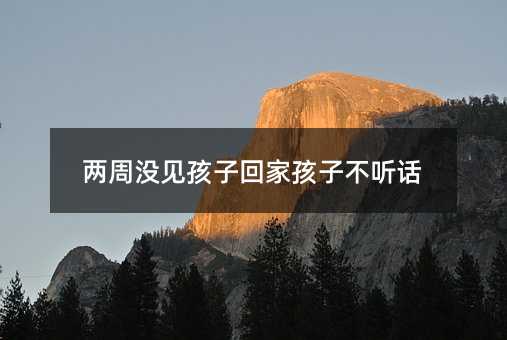 兩周沒見孩子回家孩子不聽話