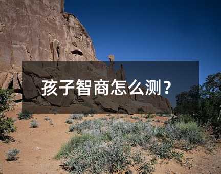 孩子智商怎么測?