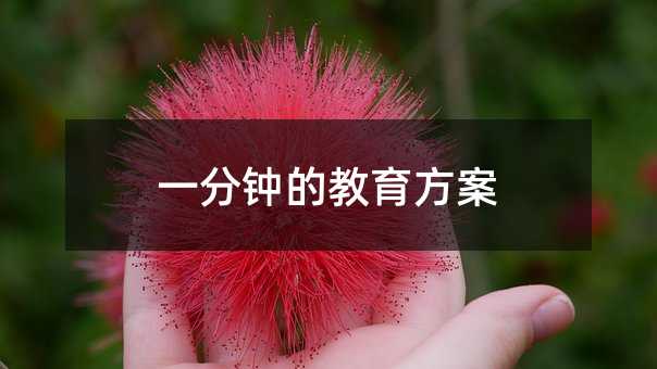 一分鐘的教育方案