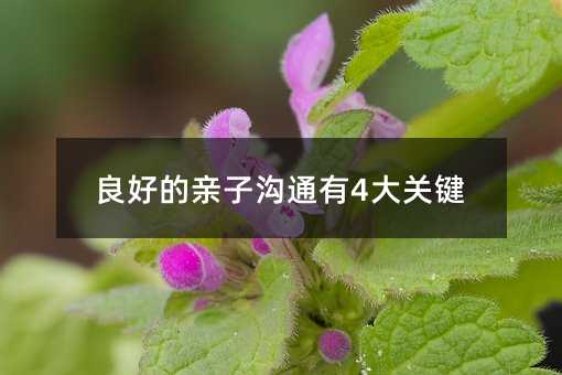 良好的親子溝通有4大關(guān)鍵