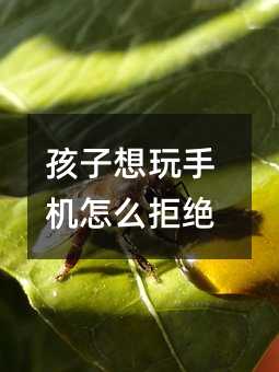 孩子想玩手機(jī)怎么拒絕