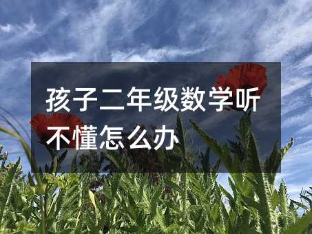 孩子二年級數學聽不懂怎么辦