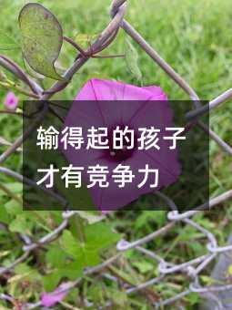 輸得起的孩子才有競爭力
