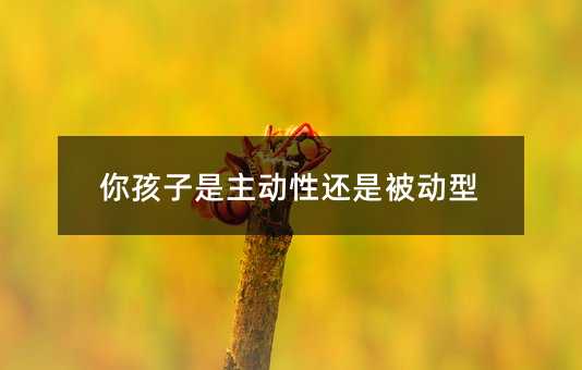你孩子是主動性還是被動型