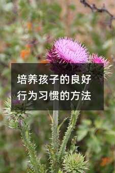 培養(yǎng)孩子的良好行為習(xí)慣的方法