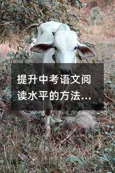 пZxˮƽķc