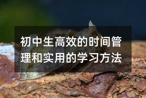 初中生高效的時間管理和實用的學習方法