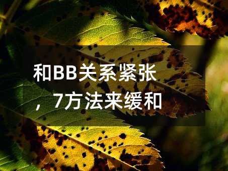 和BB關(guān)系緊張,7方法來緩和