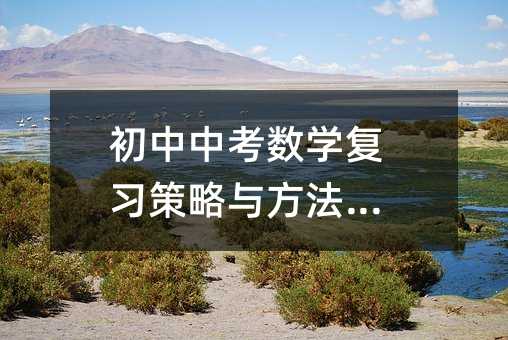 初中中考數學復習策略與方法優化