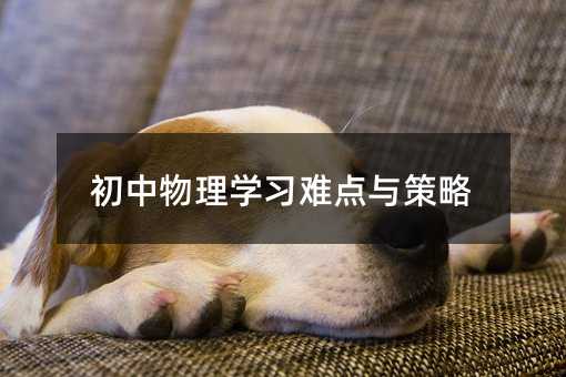 初中物理學(xué)習(xí)難點(diǎn)與策略