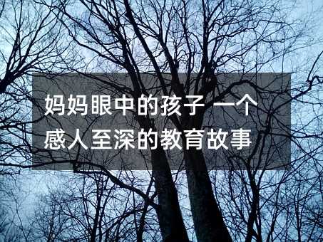 媽媽眼中的孩子 一個(gè)感人至深的教育故事