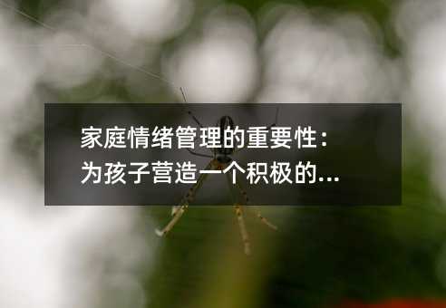家庭情緒管理的重要性:為孩子營造一個積極的環(huán)境