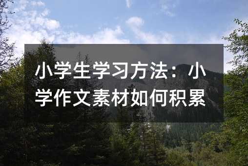 小學生學習方法:小學作文素材如何積累