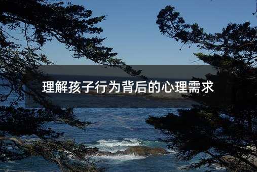 理解孩子行為背后的心理需求