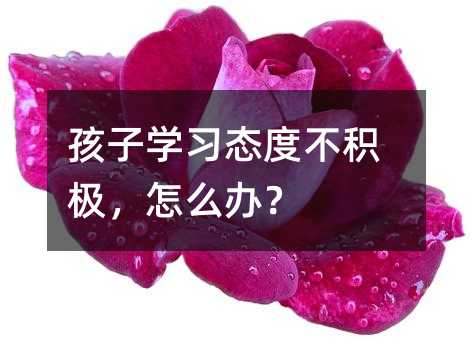 ӌW(xu)(x)B(ti)ȲeOôk