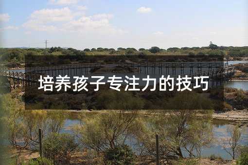 培養孩子專注力的技巧