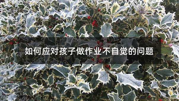 如何應(yīng)對(duì)孩子做作業(yè)不自覺(jué)的問(wèn)題