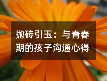 拋磚引玉:與青春期的孩子溝通心得