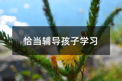 恰當(dāng)輔導(dǎo)孩子學(xué)習(xí)
