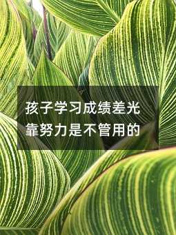 孩子學習成績差光靠努力是不管用的