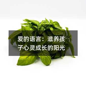 愛的語言:滋養(yǎng)孩子心靈成長的陽光