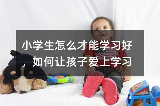 小學生怎么才能學習好,如何讓孩子愛上學習