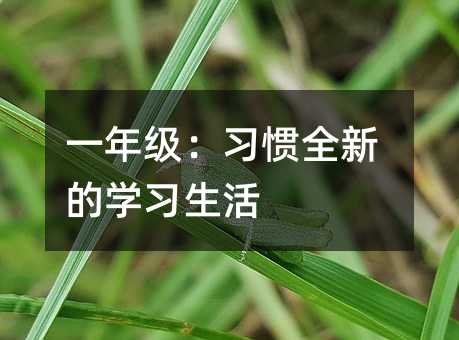 一年級(jí):習(xí)慣全新的學(xué)習(xí)生活