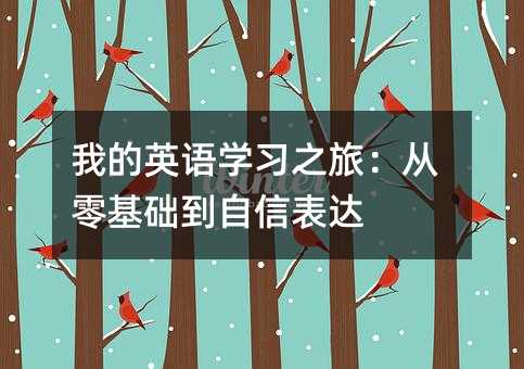 我的英語學習之旅:從零基礎到自信表達