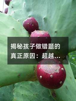 غe}ԭ򣺳Խġȷ