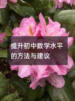 提升初中數(shù)學(xué)水平的方法與建議