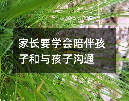 LҪW麢ӺcӜͨ