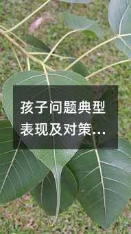 孩子問題典型表現(xiàn)及對策:愛打人