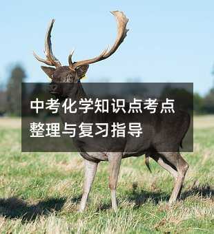 中考化學知識點考點整理與復習指導