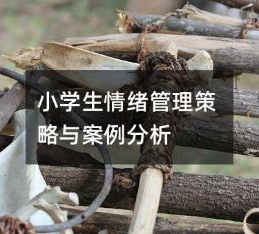 小學生情緒管理策略與案例分析