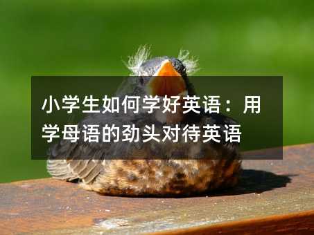 СWΌWӢZÌWĸZĄ^ӢZ