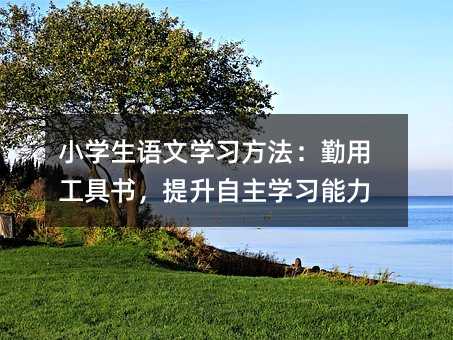小學生語文學習方法:勤用工具書,提升自主學習能力