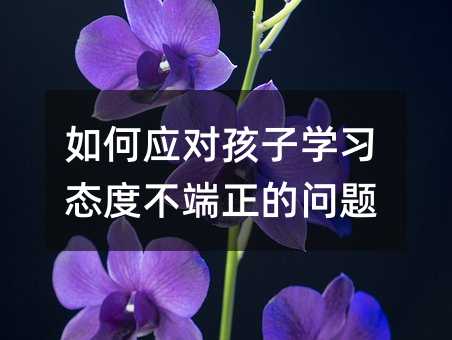 Α(yng)ӌW(xu)(x)B(ti)ȲĆ}