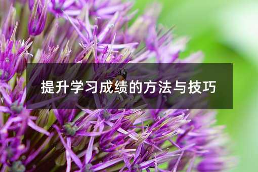 提升學習成績的方法與技巧