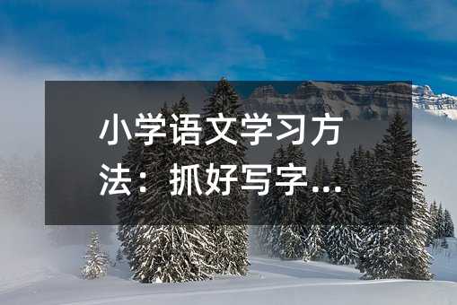 小學語文學習方法:抓好寫字訓練