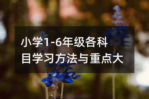 СW1-6꼉ĿWccȫ