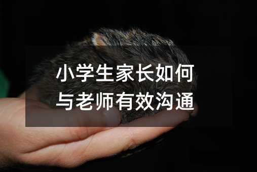 小學(xué)生家長如何與老師有效溝通