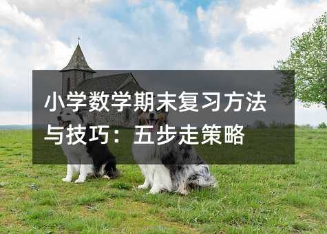小學數學期末復習方法與技巧:五步走策略