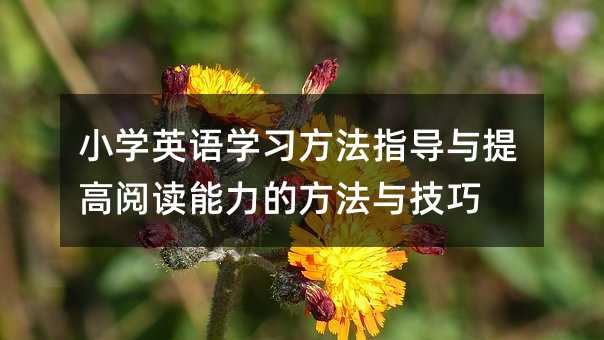 小學英語學習方法指導與提高閱讀能力的方法與技巧