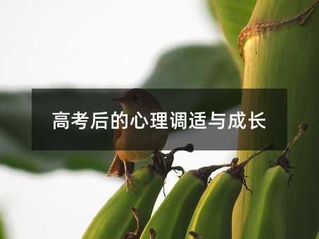 高考后的心理調適與成長