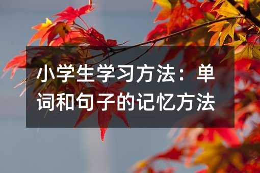 СW(xu)W(xu)(x)~;ӵӛ