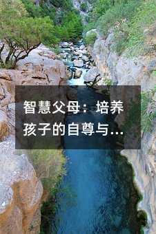 智慧父母:培養(yǎng)孩子的自尊與自信