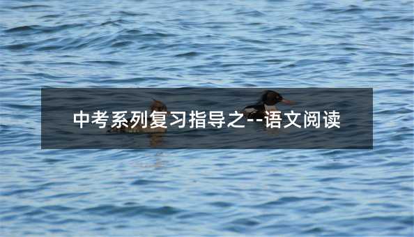 中考系列復(fù)習(xí)指導(dǎo)之--語文閱讀