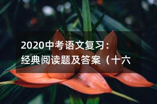 中考語文復習:經典閱讀題及答案(十六)