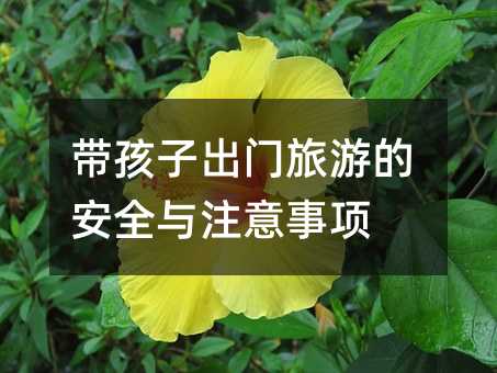 帶孩子出門旅游的安全與注意事項